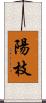 陽枝 Scroll