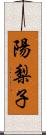 陽梨子 Scroll