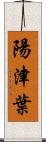 陽津葉 Scroll