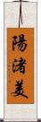 陽渚美 Scroll