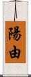 陽由 Scroll