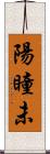 陽瞳未 Scroll