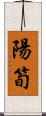 陽筍 Scroll