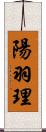 陽羽理 Scroll