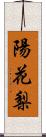 陽花梨 Scroll