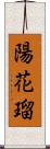 陽花瑠 Scroll