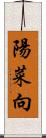 陽菜向 Scroll