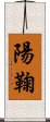 陽鞠 Scroll