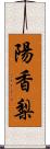 陽香梨 Scroll