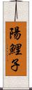 陽鯉子 Scroll