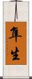 隼生 Scroll