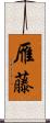 雁藤 Scroll