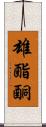 雄酯酮 Scroll