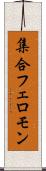 集合フェロモン Scroll