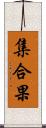 集合果 Scroll