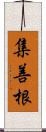 集善根 Scroll