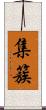 集簇 Scroll