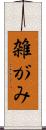 雑がみ Scroll