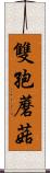 雙孢蘑菇 Scroll