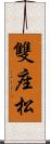 雙座松 Scroll