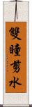 雙瞳剪水 Scroll