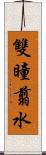 雙瞳翦水 Scroll