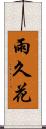 雨久花 Scroll