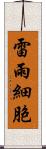 雷雨細胞 Scroll