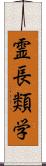 霊長類学 Scroll