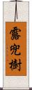 露兜樹 Scroll