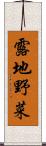 露地野菜 Scroll
