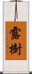 露樹 Scroll
