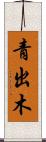 青出木 Scroll