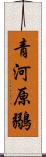 青河原鶸 Scroll