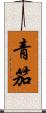 青笳 Scroll