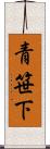 青笹下 Scroll