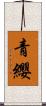 青纓 Scroll