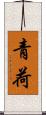 青荷 Scroll