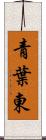 青葉東 Scroll