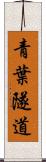 青葉隧道 Scroll