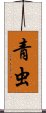 青虫 Scroll
