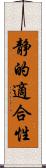 静的適合性 Scroll