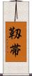 靱帯 Scroll