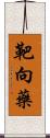 靶向藥 Scroll