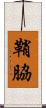 鞘脇 Scroll