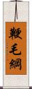 鞭毛綱 Scroll