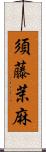 須藤茉麻 Scroll