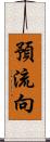 預流向 Scroll