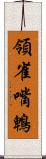 領雀嘴鵯 Scroll