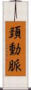頚動脈 Scroll